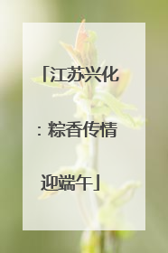 江苏兴化：粽香传情迎端午